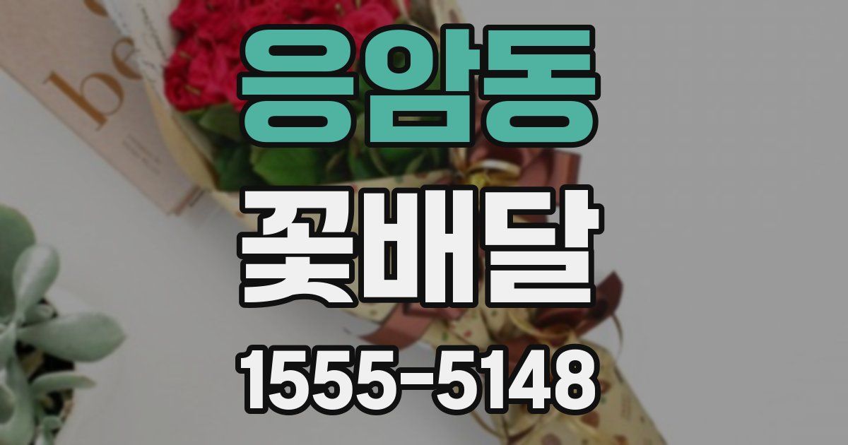 응암동 꽃배달