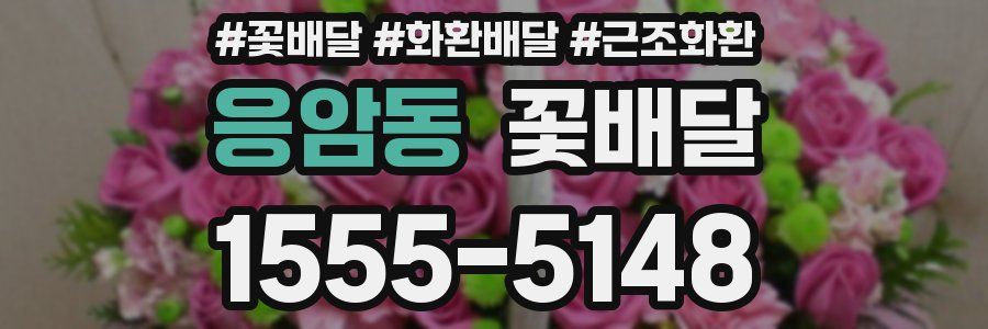 응암동 꽃배달