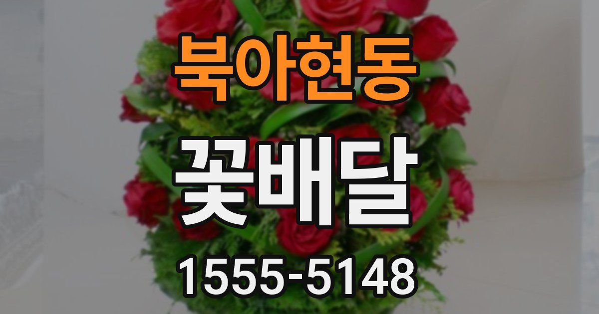 북아현동 꽃배달