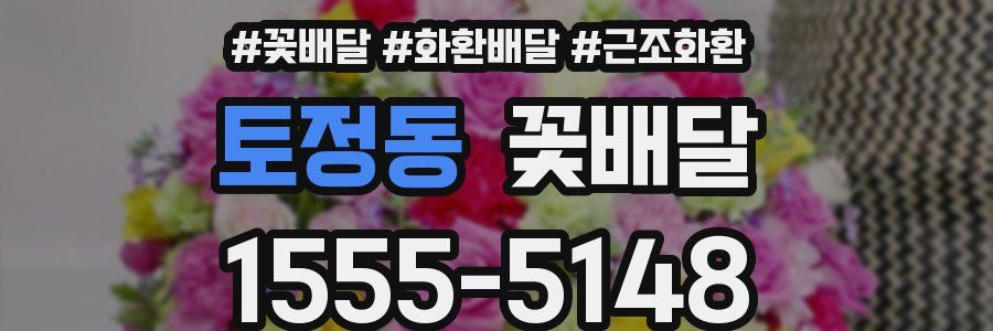 토정동 꽃배달