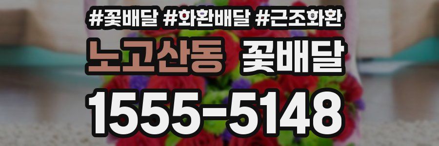 노고산동 꽃배달