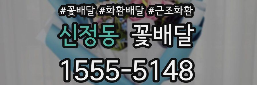 신정동 꽃배달