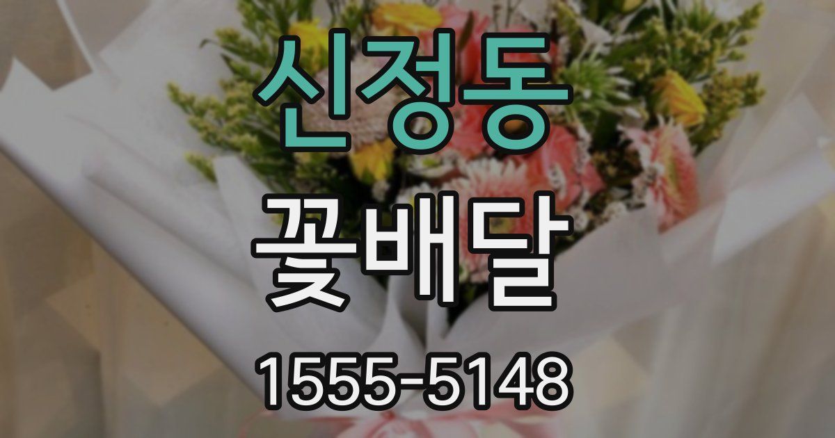 신정동 꽃배달