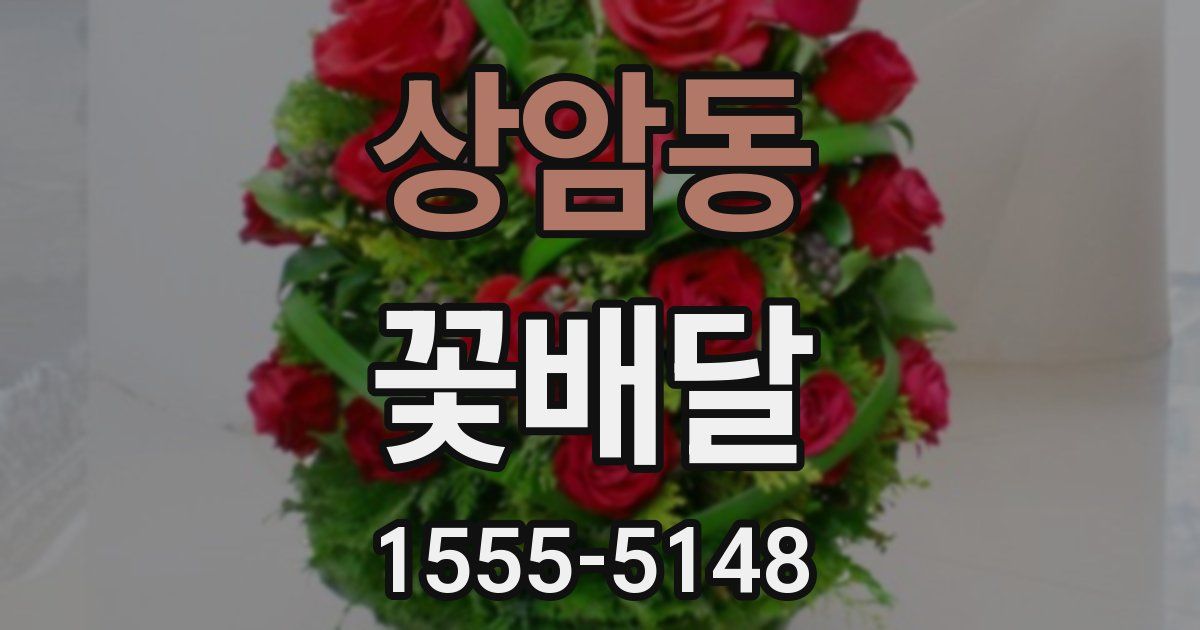 상암동 꽃배달