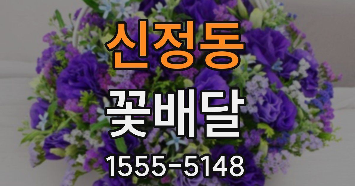 신정동 꽃배달