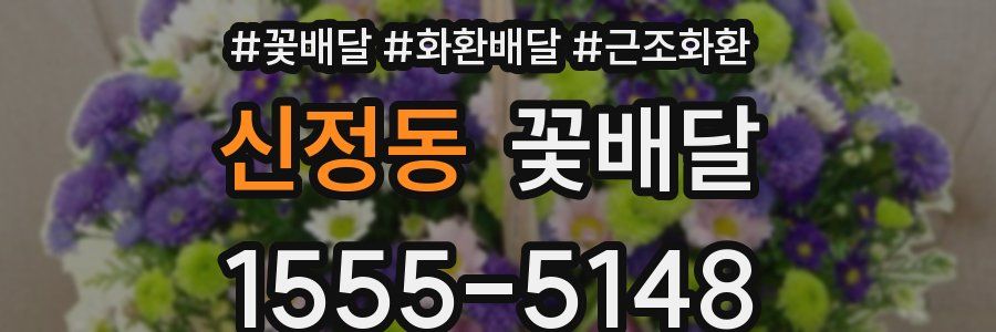 신정동 꽃배달