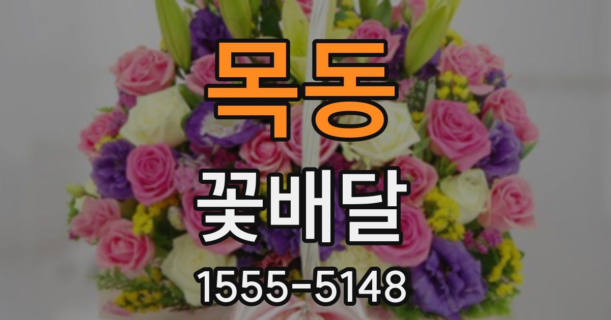 목동 꽃배달