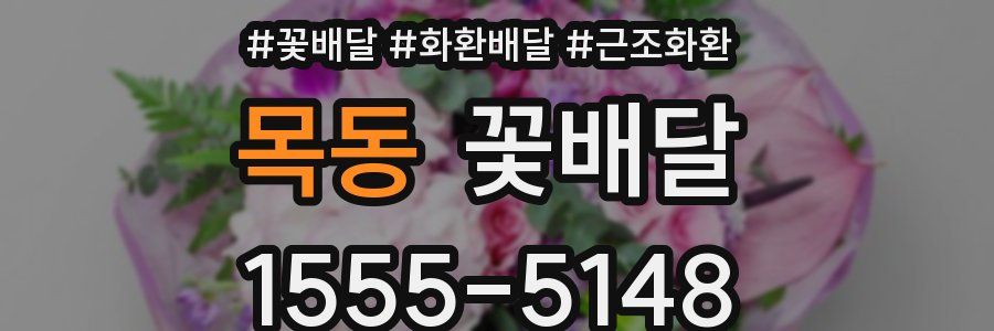 목동 꽃배달