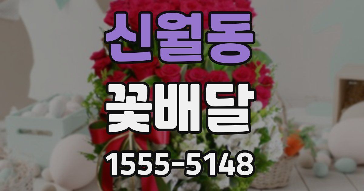신월동 꽃배달