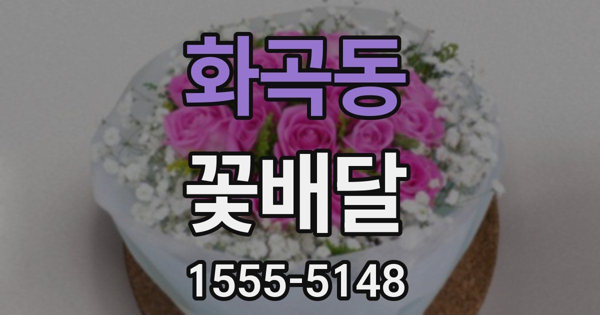 화곡동 꽃배달