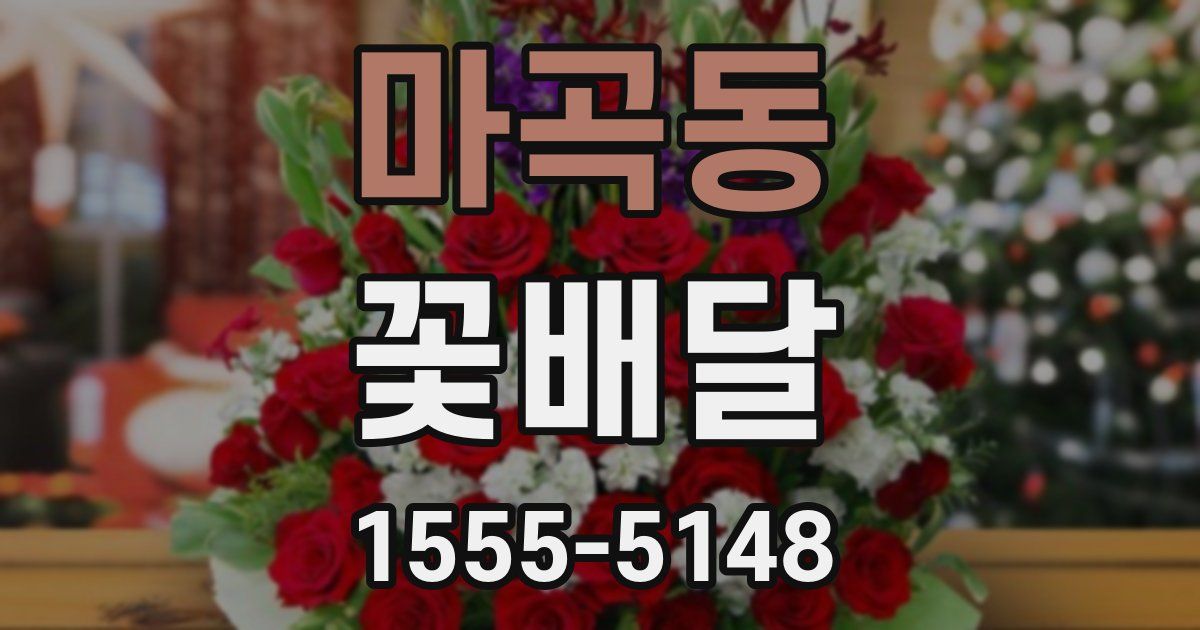 마곡동 꽃배달