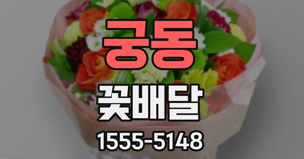 궁동 꽃배달