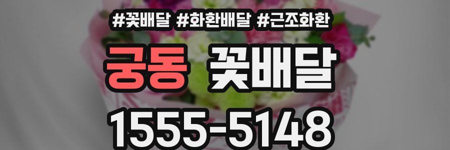궁동 꽃배달