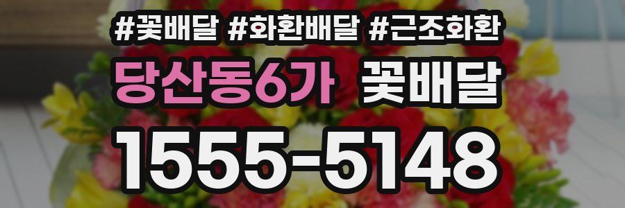 당산동6가 꽃배달