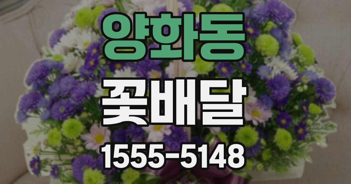 양화동 꽃배달
