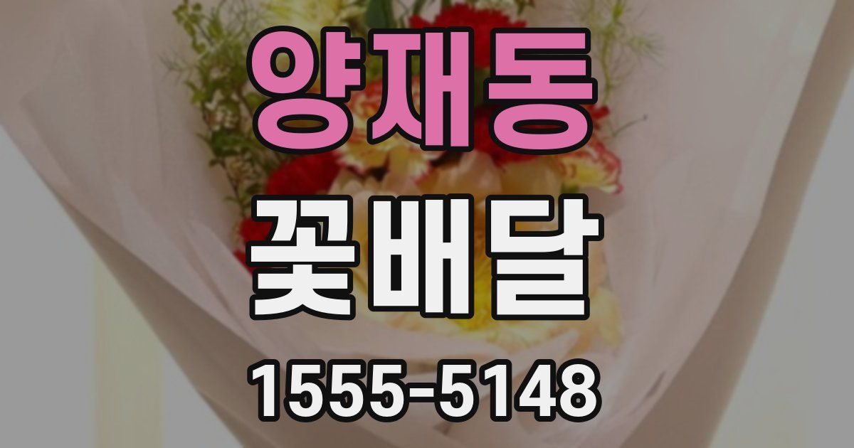 양재동 꽃배달