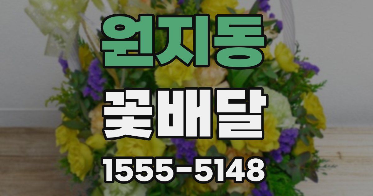 원지동 꽃배달