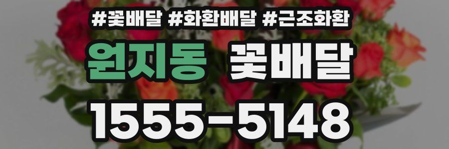 원지동 꽃배달