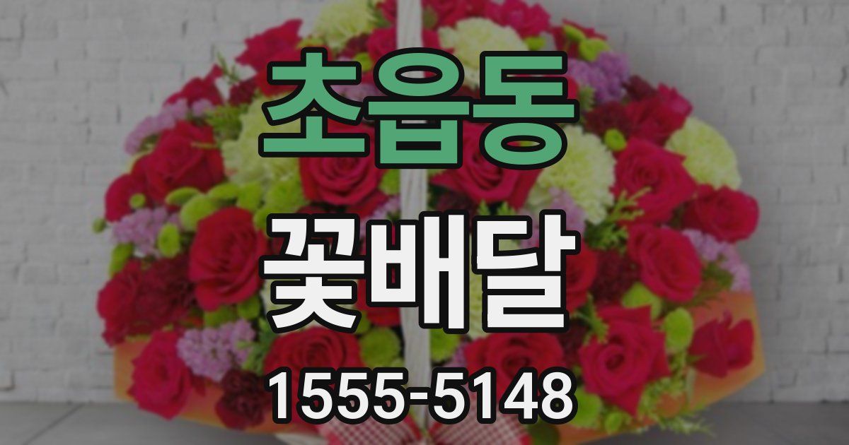 초읍동 꽃배달