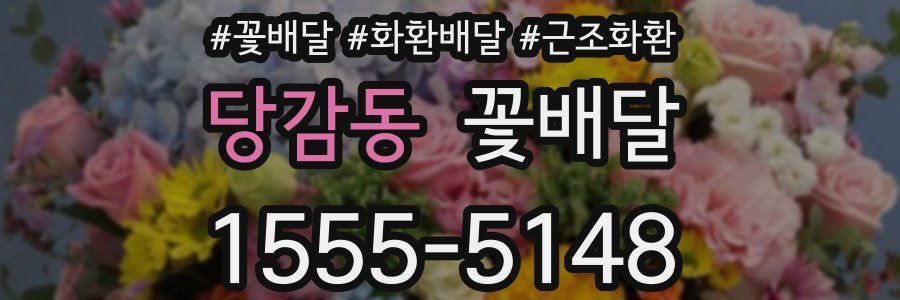 당감동 꽃배달