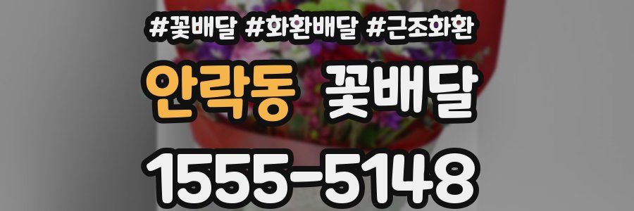 안락동 꽃배달