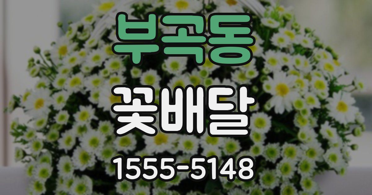 부곡동 꽃배달