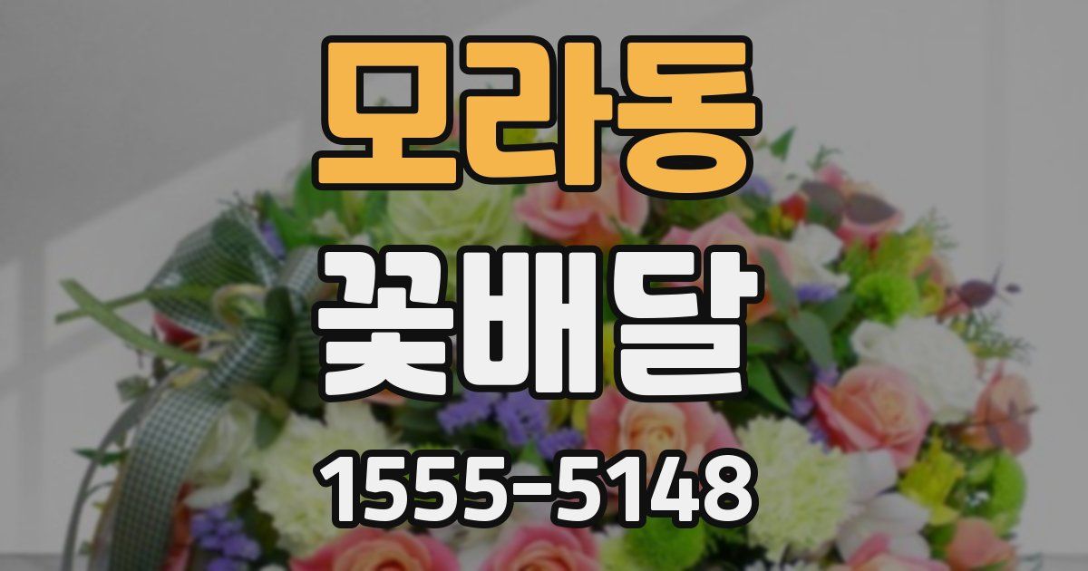 모라동 꽃배달