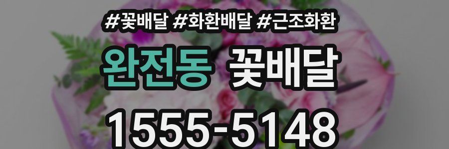 완전동 꽃배달