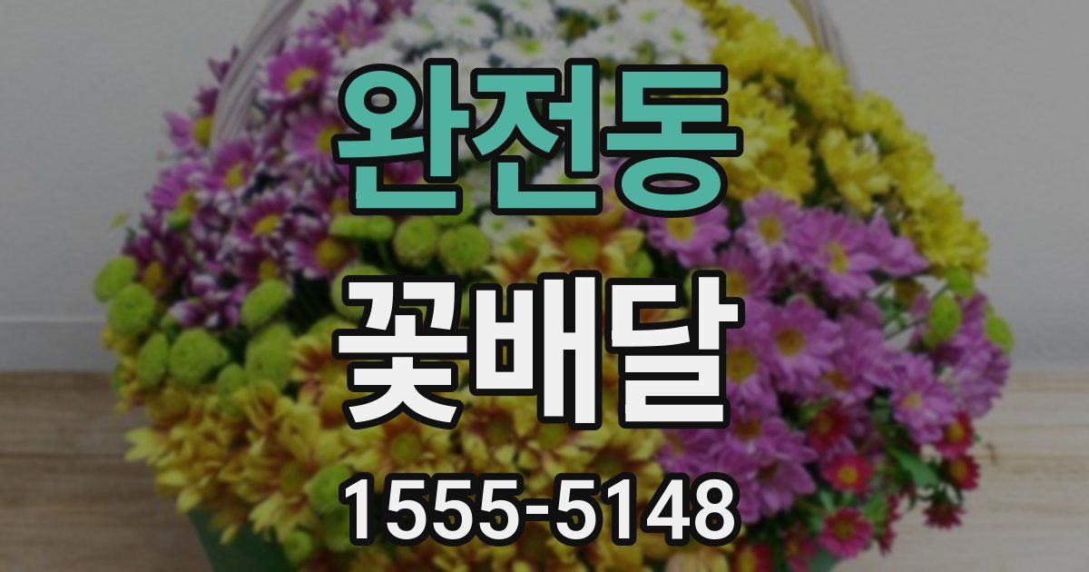 완전동 꽃배달