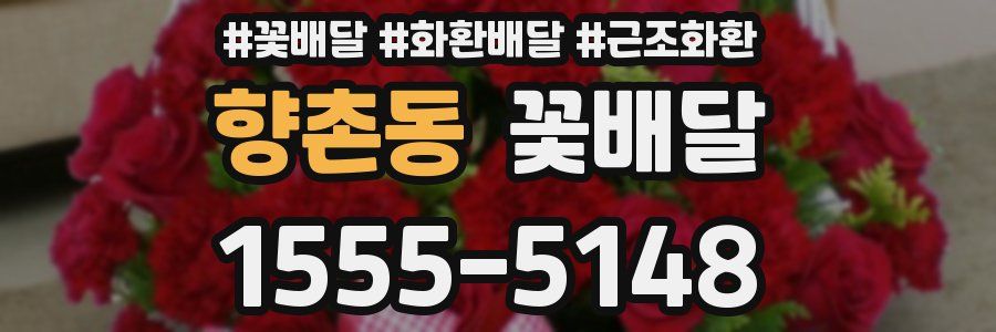 향촌동 꽃배달
