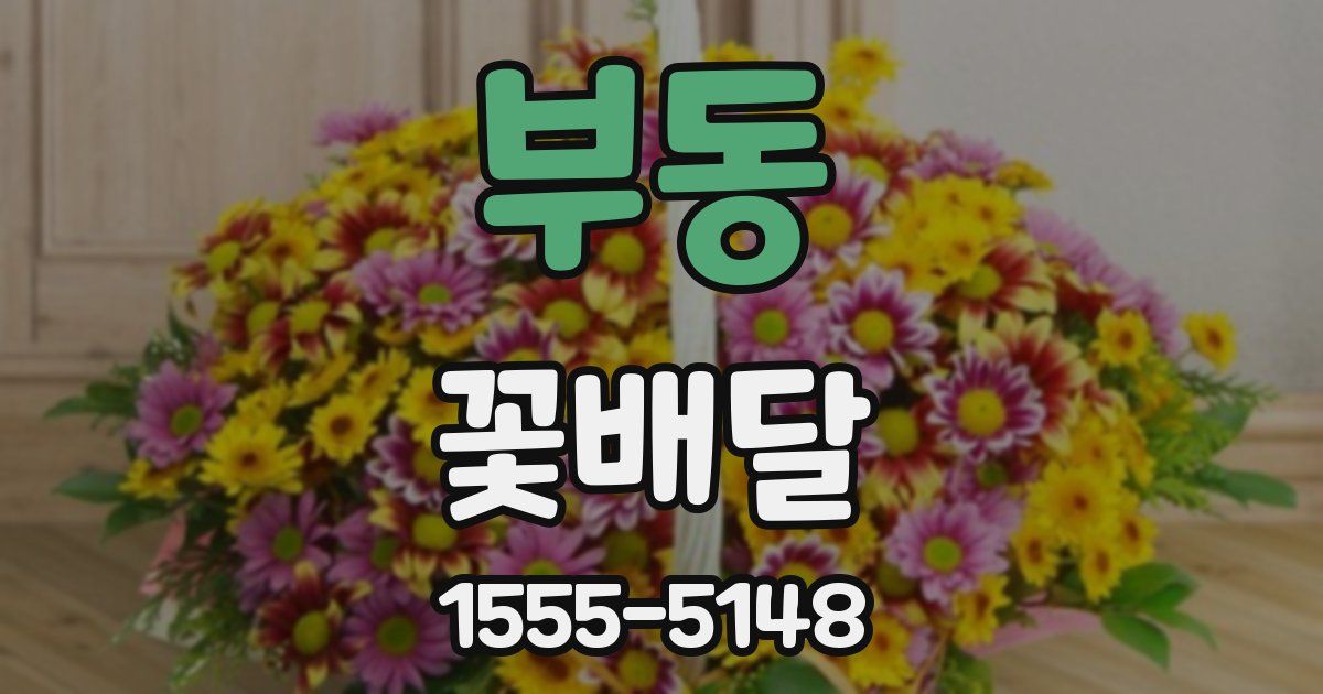부동 꽃배달