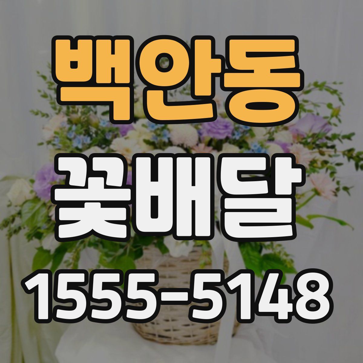 백안동 꽃배달