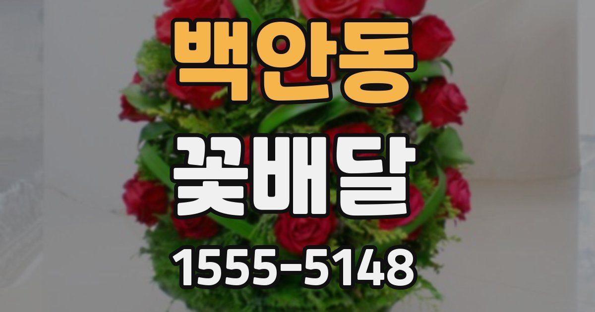 백안동 꽃배달