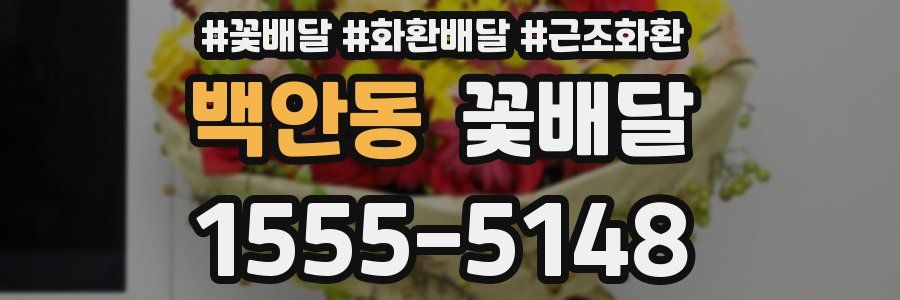 백안동 꽃배달