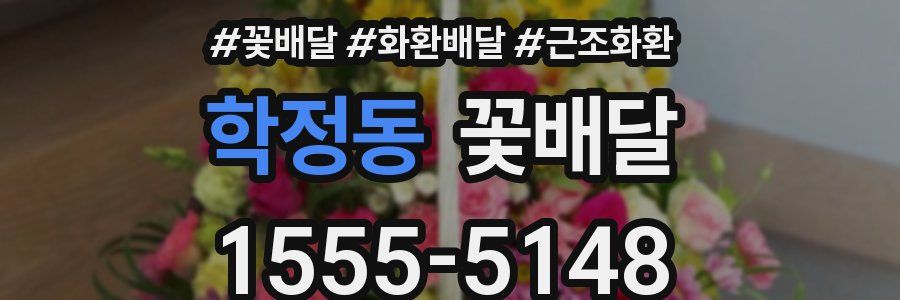 학정동 꽃배달