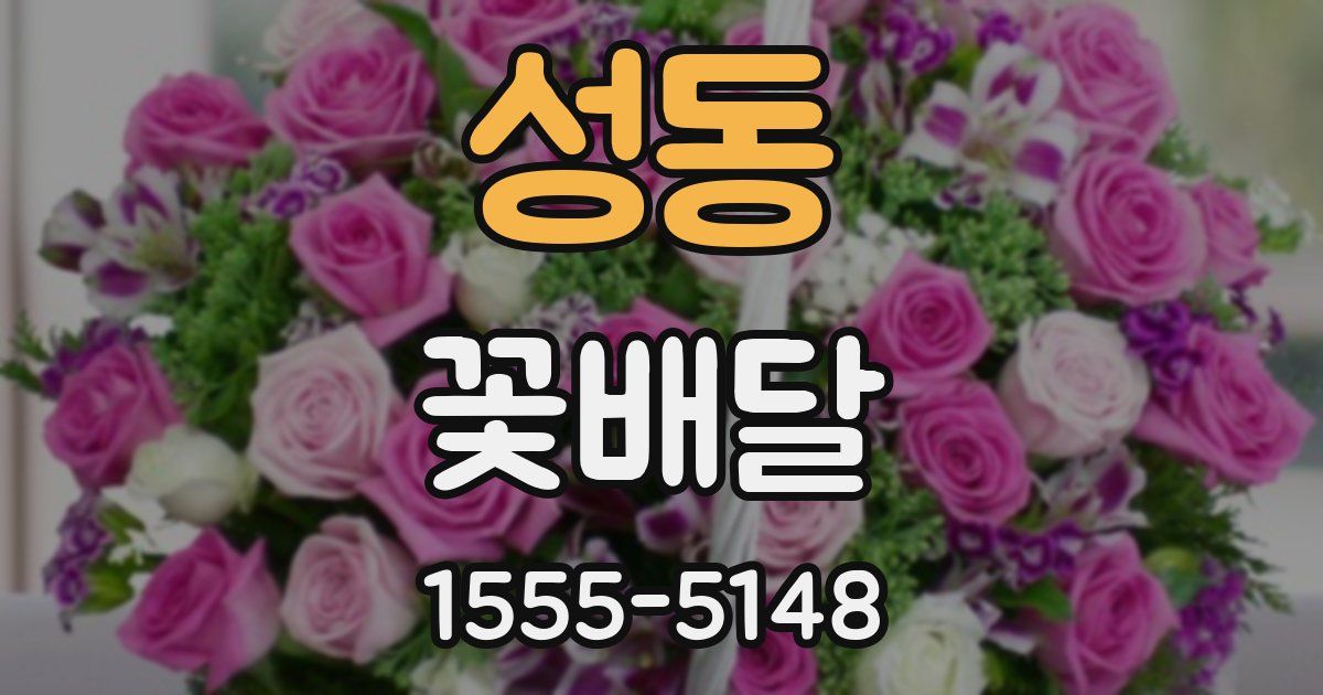 성동 꽃배달