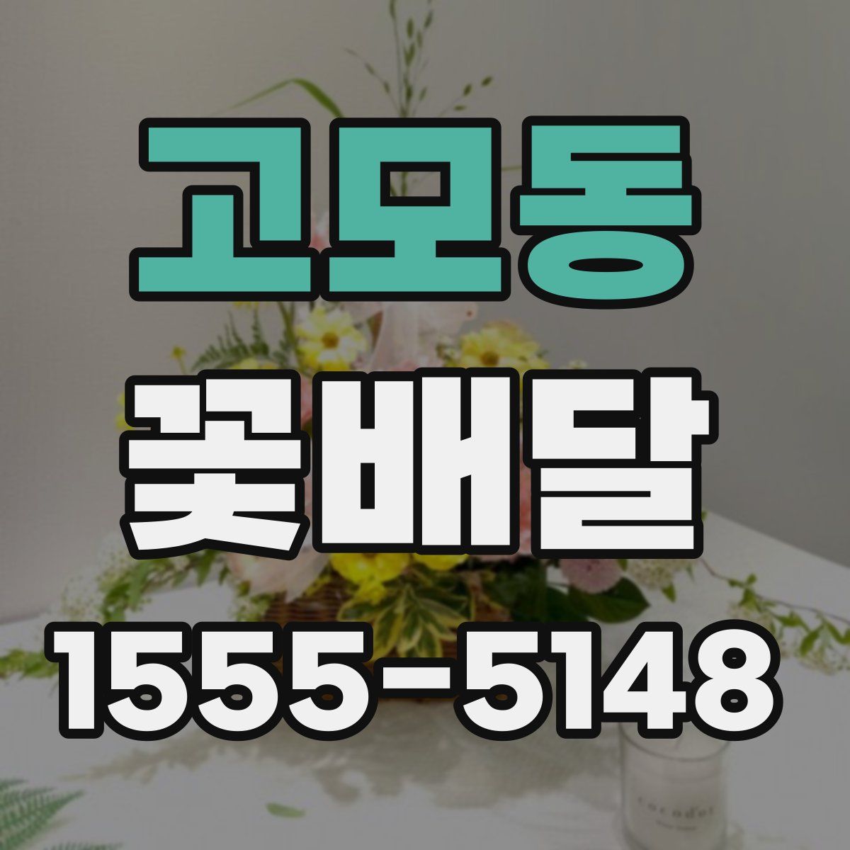 고모동 꽃배달