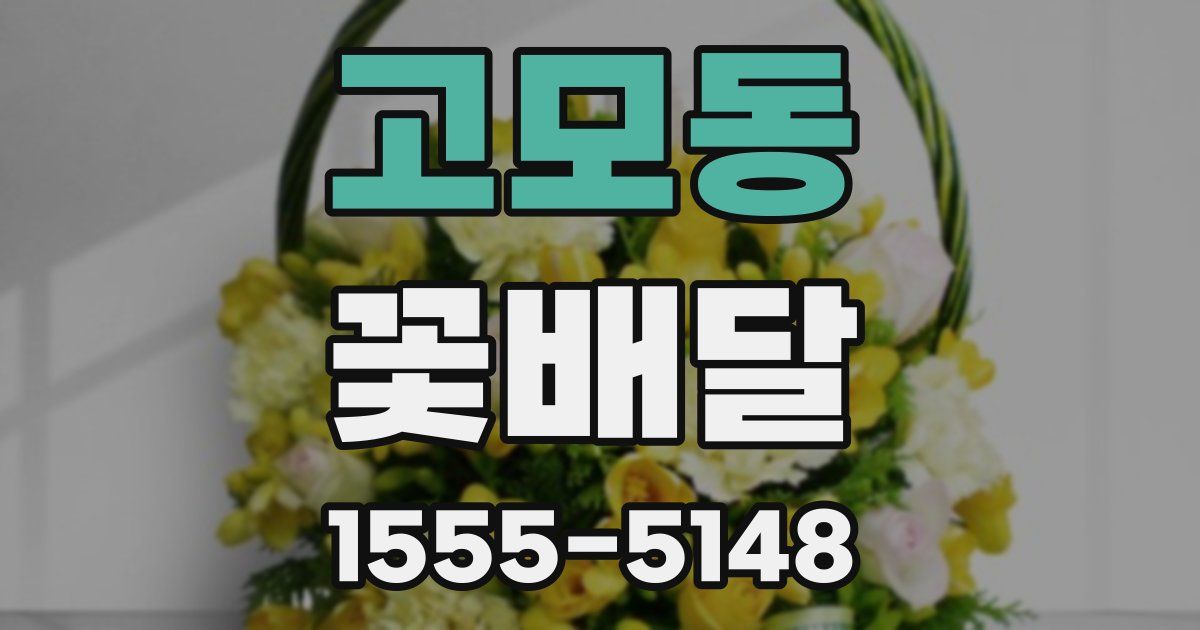고모동 꽃배달
