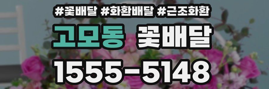 고모동 꽃배달