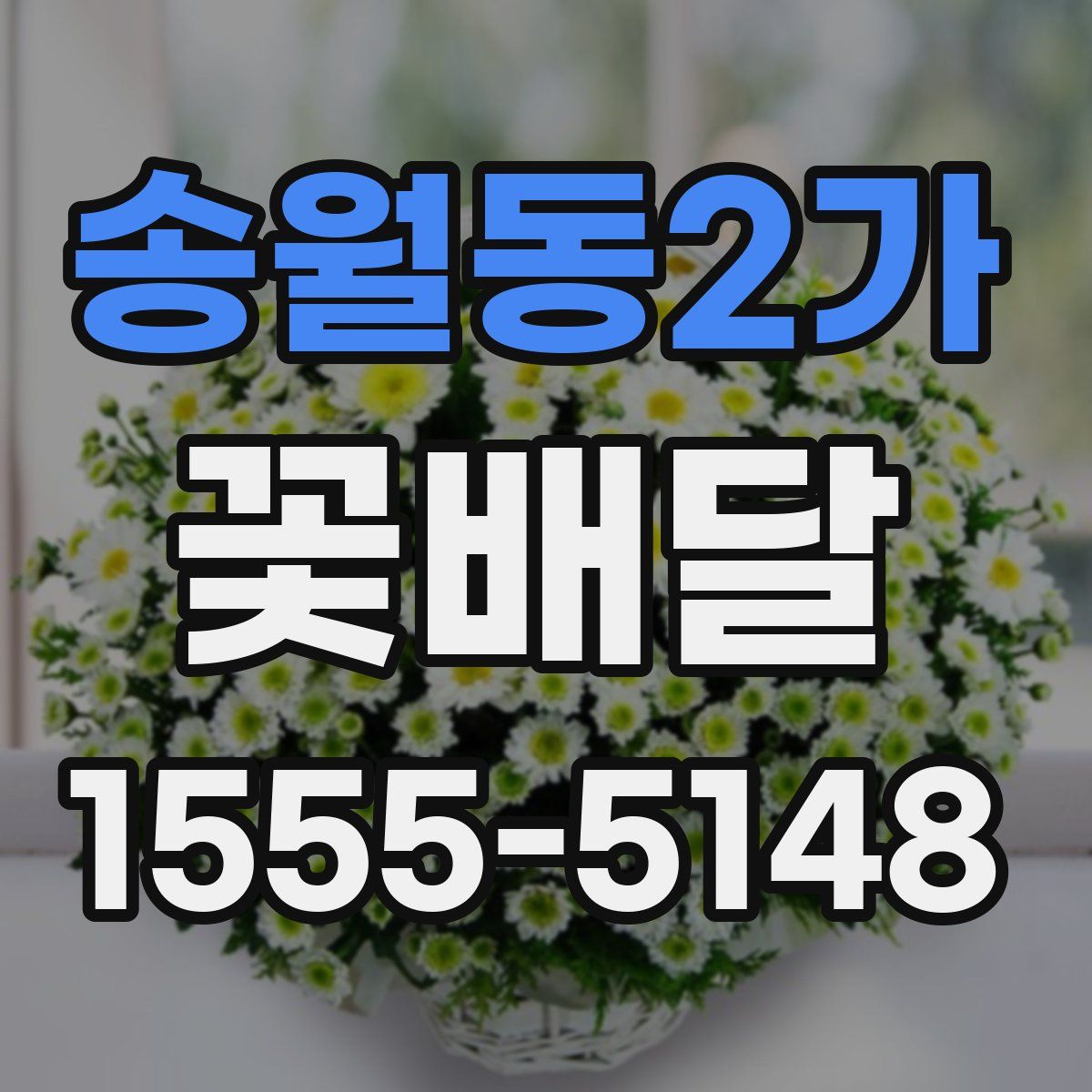 송월동2가 꽃배달