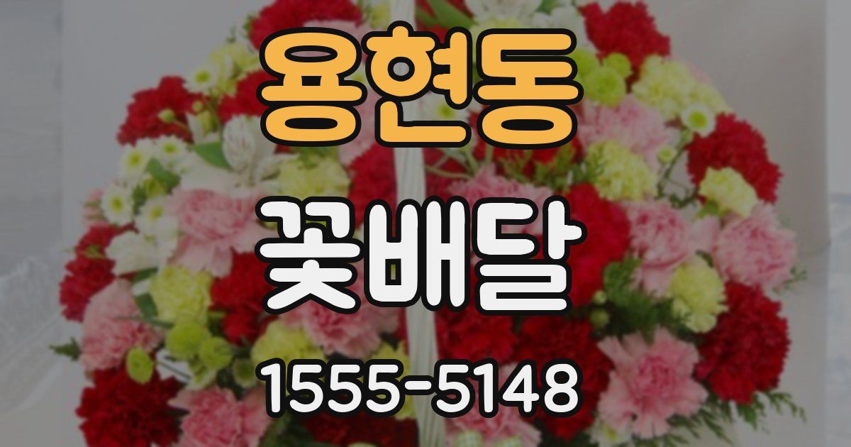 용현동 꽃배달