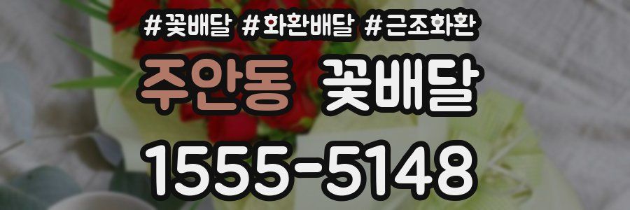 주안동 꽃배달