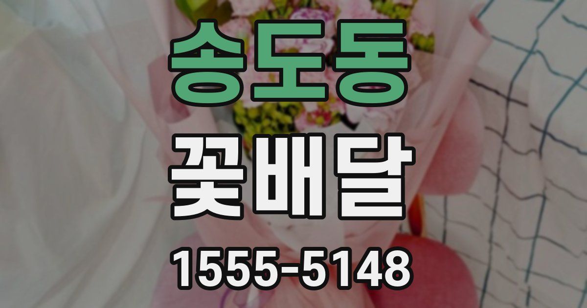 송도동 꽃배달