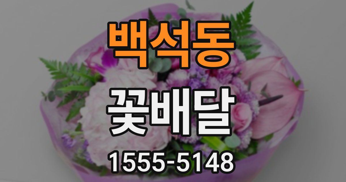 백석동 꽃배달