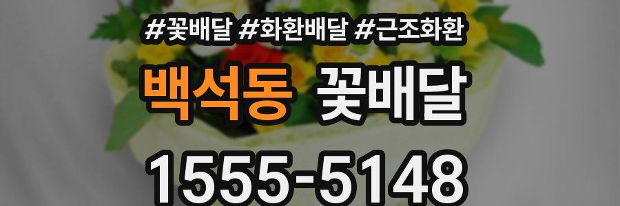 백석동 꽃배달