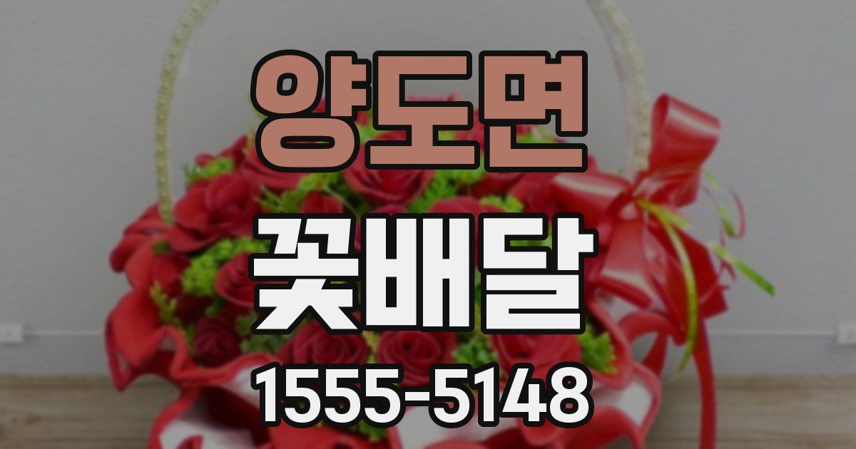 양도면 꽃배달