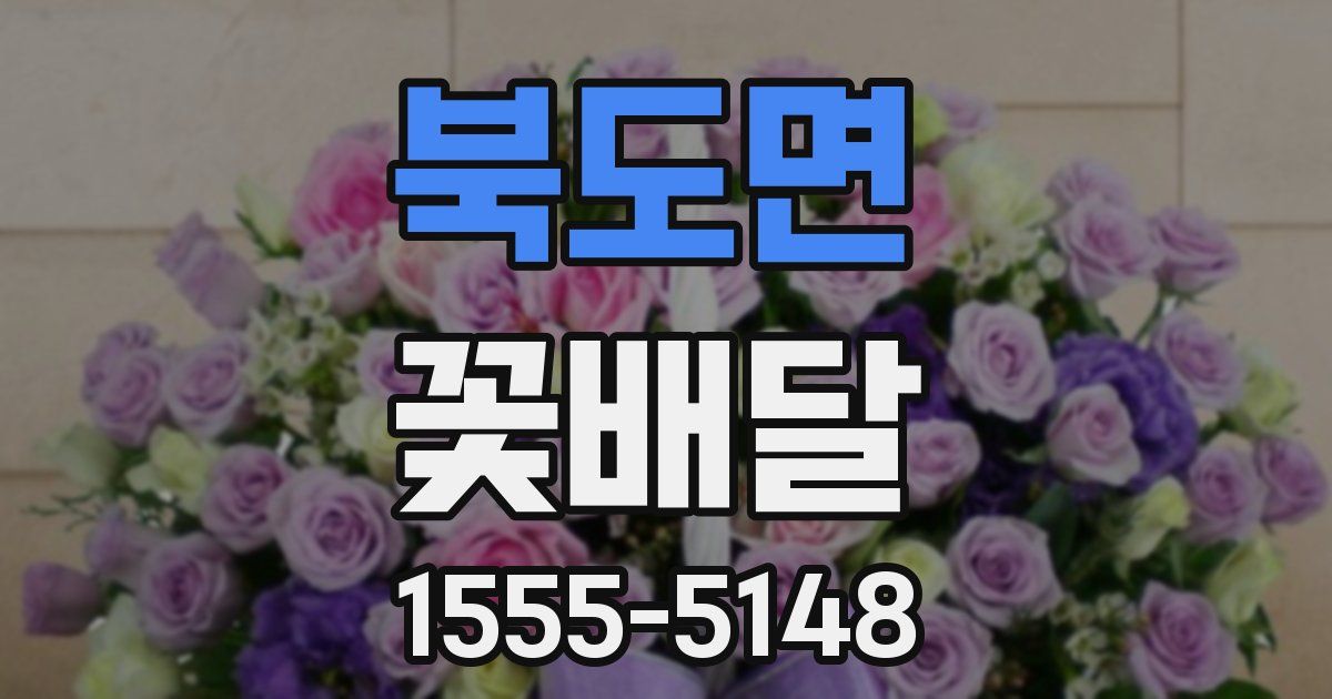 북도면 꽃배달