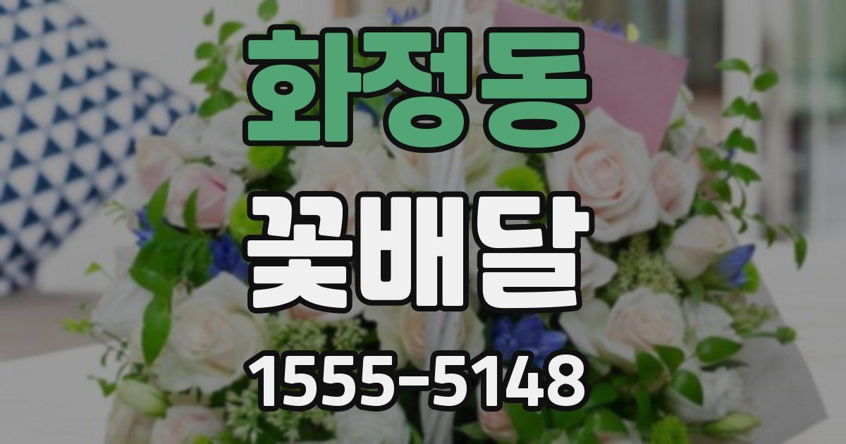 화정동 꽃배달
