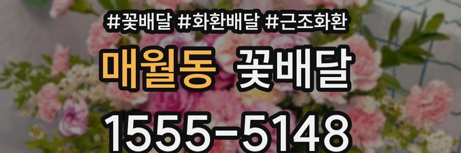 매월동 꽃배달