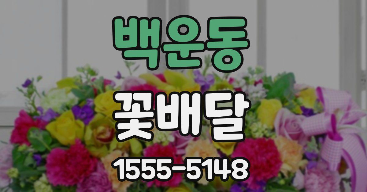 백운동 꽃배달